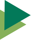 vector